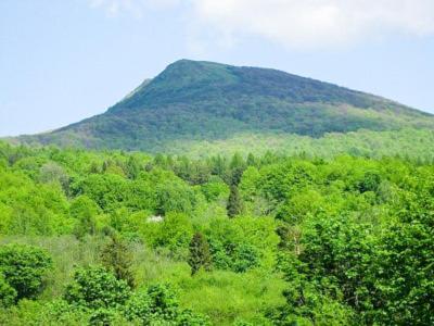 Caloroczne Domki Zacisze Hnatowego Berda W Wetlinie ベトリナ エクステリア 写真